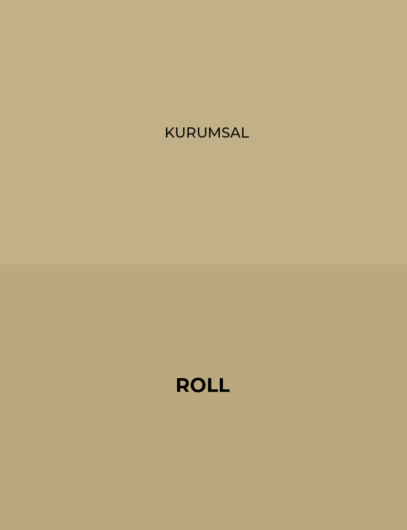 Kurumsal