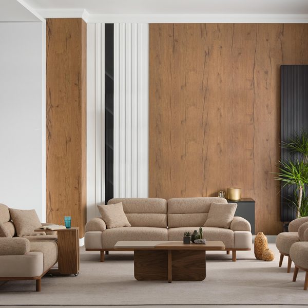 lider-koltuk-takimi (13)