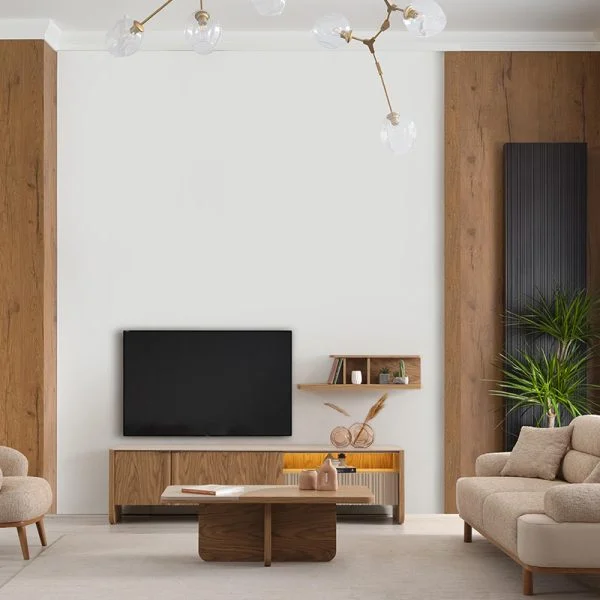 lider-tv-unitesi (4)